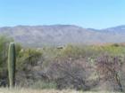 Coyote Creek Homes
