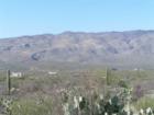 Coyote Creek / Saguaro National Park background