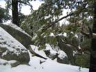 Idyllwild Mountain Area