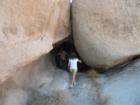 Rock Climbing for Kids at Joshua Tree