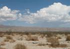 DHS Vacant Land