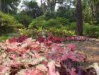 Garden and Statue of St. Francis at Bok Tower Sanctuary in Lake Wales