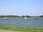 Looking out over the Strand In Oxford, MD