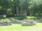 Rose Garden at Zilker Botanical Gardens