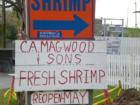 Where locals go to buy fresh caught shrimp