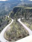 Rowena Crest Loops