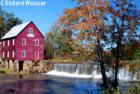 Starr's Mill Park