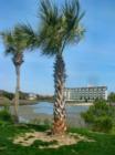 View from the Dunes Club looking over the marsh to toward the Sands Beach Club.