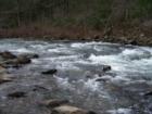 Daddy's Creek - Catoosa Wildlife Management Area