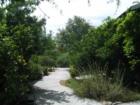 Community Walkway