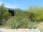 Xerascape Landscaping