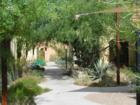 Community Walkway