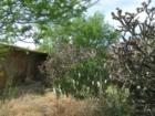 Xerascape Landscaping