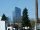 Ritz Carlton From the south with a GREAT Tree.