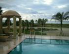 Poolside at Spiaggia