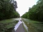 George Bush Park
