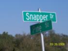 Fish Names - Poinciana street signs