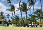 Kuau Plaza condos in Kuau Maui HI - a 30 unit complex close to Mama's Fish House and Paia - the view from unit 105