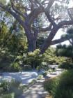 Japanese Garden