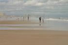 Windy winter day on the beach