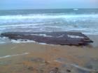 Old shipwreck found on the beach