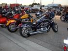 Bike Show, Cape Coral