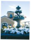 Bridgetower has beautiful common areas, including beautiful plantings like this.