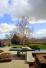 Community Center with incredible Views