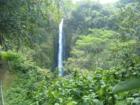 Hilo area waterfall