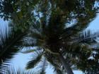 Ar12087510904185_l