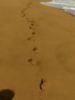 Footprints