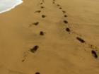 sandy feet