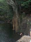 jumping falls