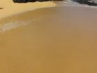 sandy sand