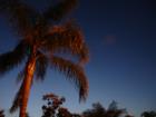 Viera Twilight