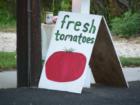 Get ready for the season. Buy your tomatoe plants and plant by Mothers Day