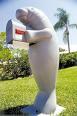 Manatee Mailbox