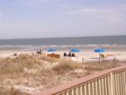 Shipyard Beach Views