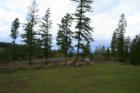 Spokane County Beauty!