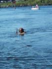 diving for sponges in Tarpon SPrings the SPONGE CAPITAL OF THE WORLD