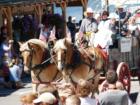 4th of July Parade in Bigfork