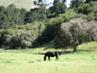 Just another sunny day in good old Carmel Valley.