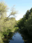 View of the 
      Carmel River in the spring.