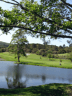 Enjoy golfing and dining in beautiful Quail Lodge.