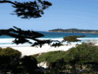 Another beautiful day at Carmel Beach.