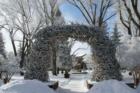 Winter Elk Antler Arches