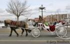 Carriage Ride in Victoria, March 2008. [Photo by Gary Woodburn]