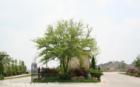 The Shores at Waterstone - Little Elm TX Real Estate. Brought to you by 3:16 team REALTY Loreena Yeo - TX Real estate broker