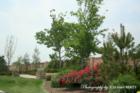 The Shores at Waterstone - Little Elm TX Real Estate. Brought to you by 3:16 team REALTY Loreena Yeo - TX Real estate broker
