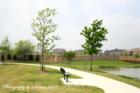 The Landing at Waterstone - Little Elm TX Real Estate. Brought to you by 3:16 team REALTY Loreena Yeo - TX Real estate broker